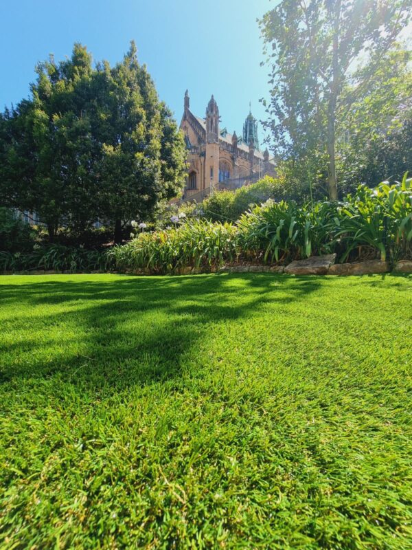 Sydney University Supply Install Artificial Grass