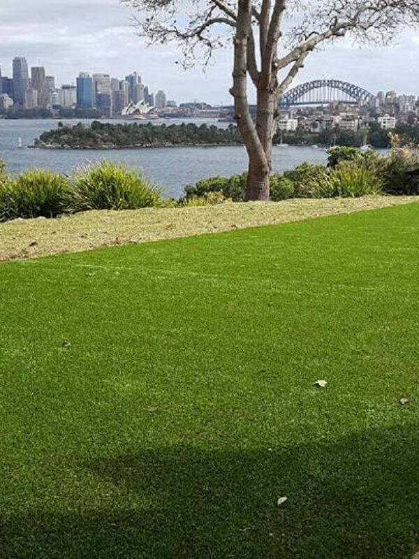 21191874_10155164822023495_taronga zoo sydney supply install artificial grass synthetic turf