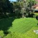 Sydney Artificial Grass Synthetic Turf Boom
