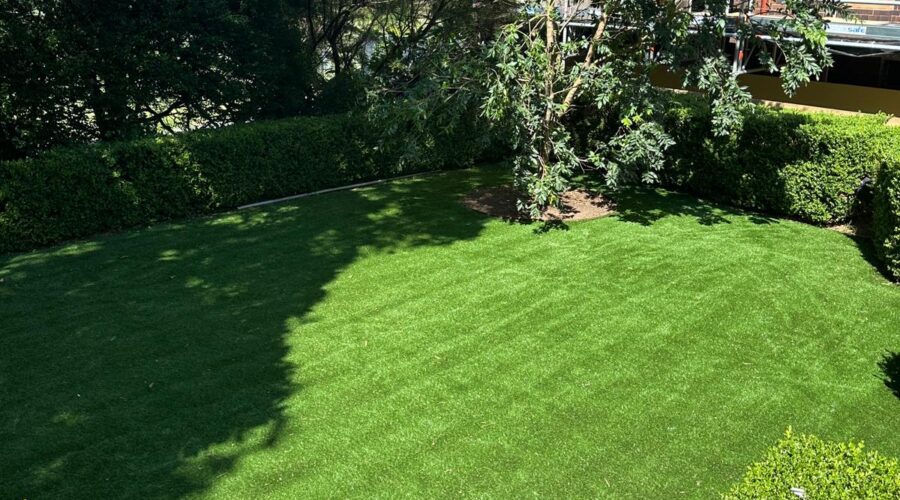 Sydney university nsw supply install 35mm artificial grass synthetic turf