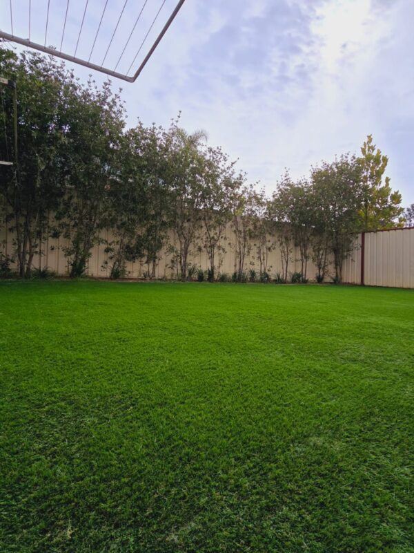 austral backyard synthetic turf artificial grass installation