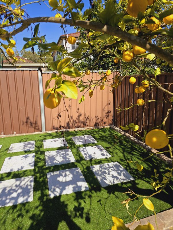 Hurstville small backyard synthetic turf artificial grass installation